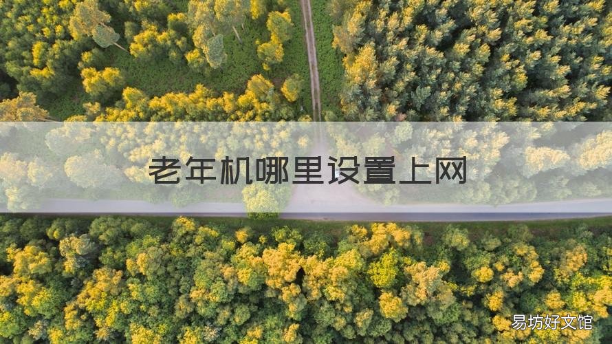 老年机哪里设置上网 老年机可上网