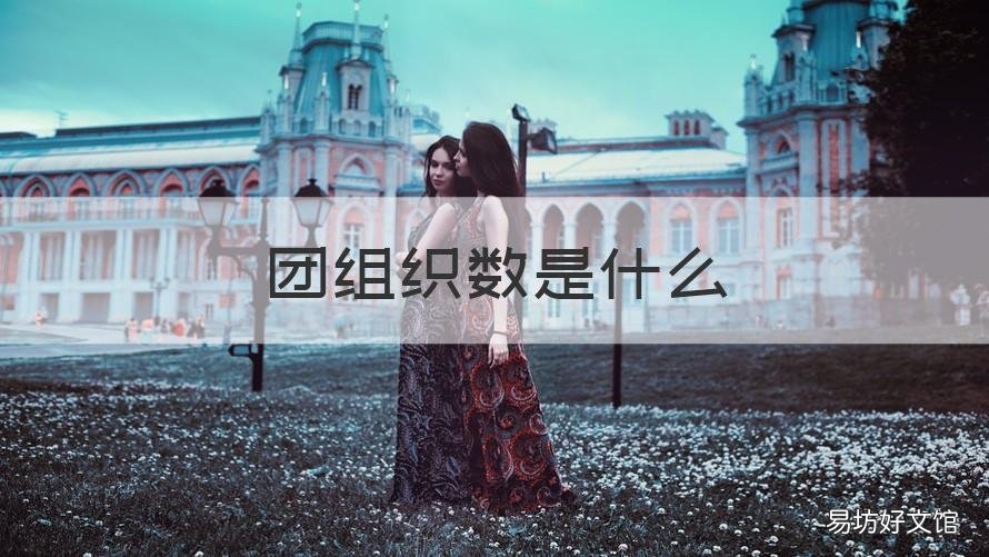 团组织数是什么 组织内团员数是什么意思