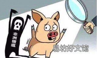 非洲猪瘟多久能复养 非洲猪瘟多久能复养好