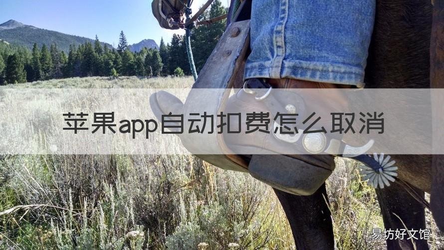 苹果app自动扣费怎么取消 苹果app自动扣费怎么取消订单