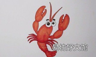 虾怎么画 虾怎么画简笔画图片