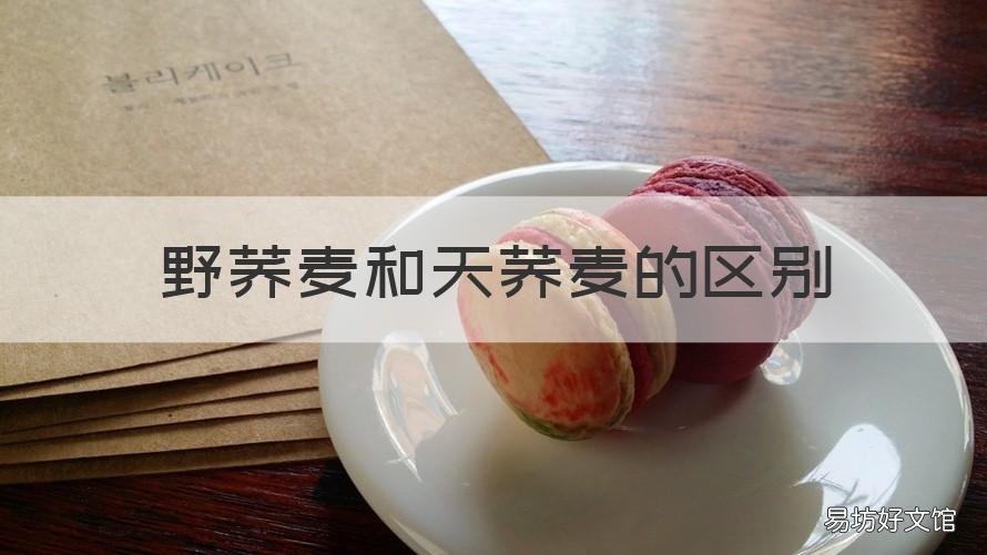 野荞麦和天荞麦的区别 金荞麦与野荞麦的区别
