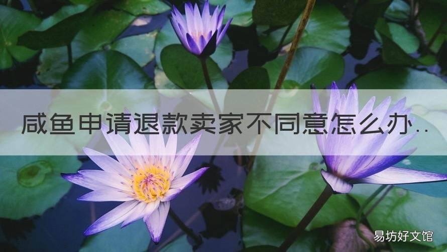 咸鱼申请退款卖家不同意怎么办 咸鱼卖家如何同意退款