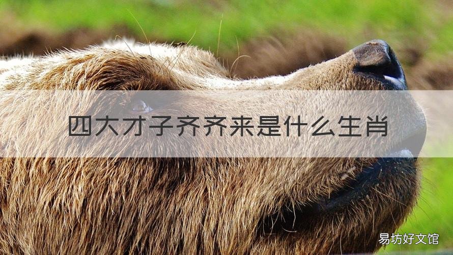 四大才子齐齐来是什么生肖 生肖四大才子是哪四大才子