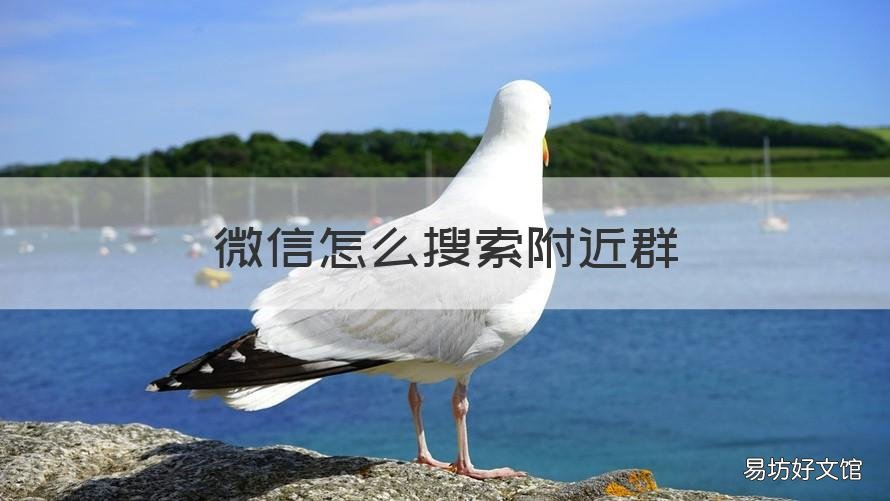 微信怎么搜索附近群 微信搜索附近群怎么搜