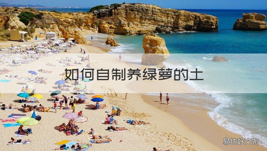 如何自制养绿萝的土 自己种植绿萝用什么土
