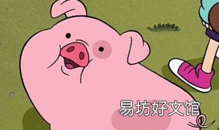 后备母猪可以喂哺乳料吗 后备母猪怎么喂料