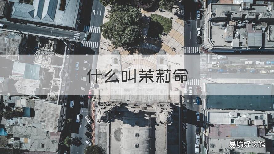 什么叫茉莉命 起名茉莉的意思