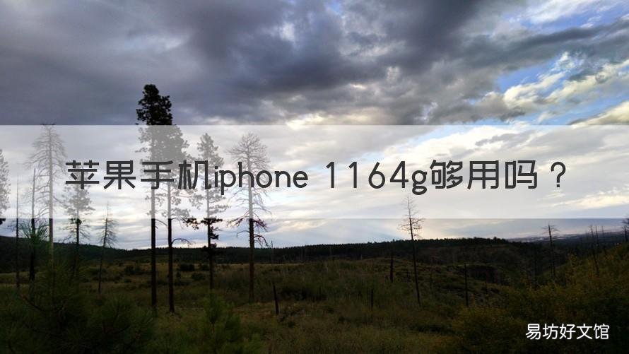 苹果手机iphone 1164g够用吗