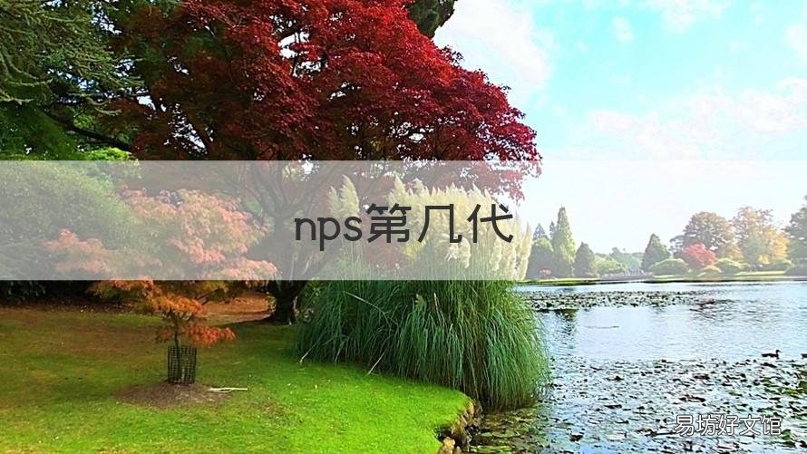 nps第几代 nps第几代毒药