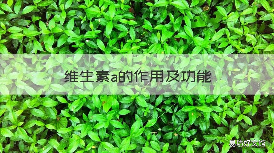 维生素a的作用及功能 维生素ad的作用及功能