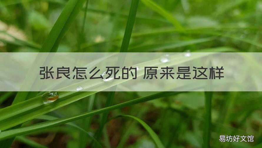 张良怎么死的 原来是这样 张良死在哪里