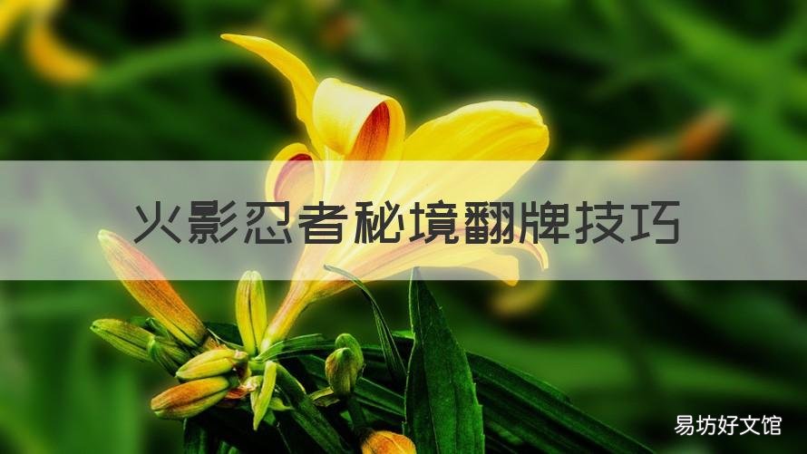 火影忍者秘境翻牌技巧 火影忍者手游秘境翻牌技巧