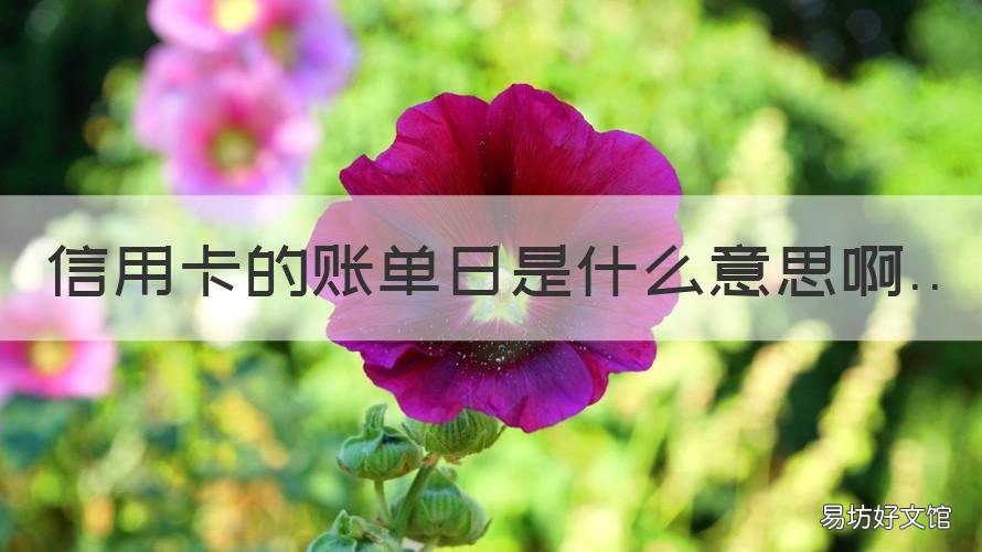 信用卡的账单日是什么意思啊 信用卡的账单日是什么意思啊怎么改