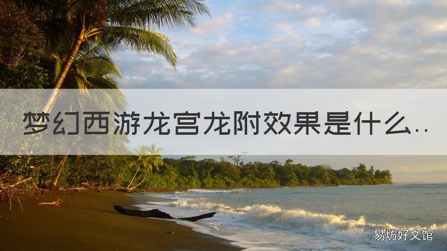 梦幻西游龙宫龙附效果是什么 梦幻西游龙宫附魔