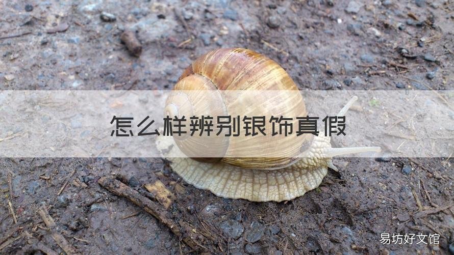 怎么样辨别银饰真假 怎么分辨银饰真假
