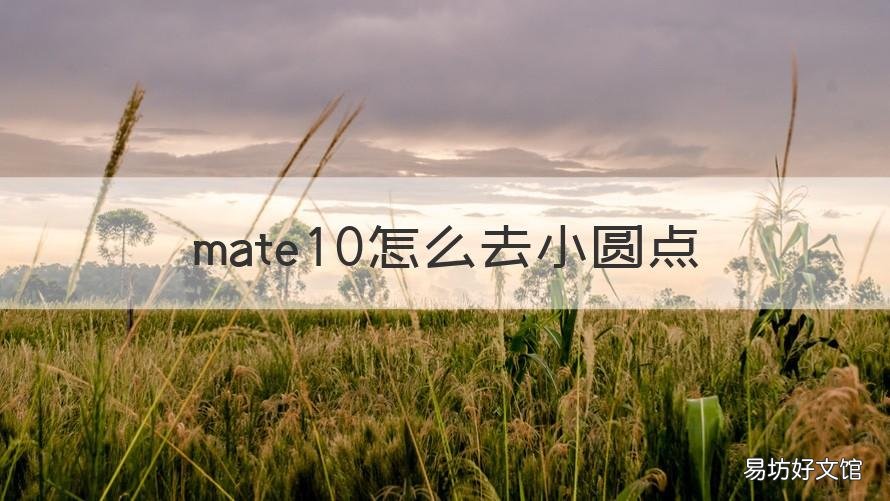 mate10怎么去小圆点 mate小圆点怎么关闭