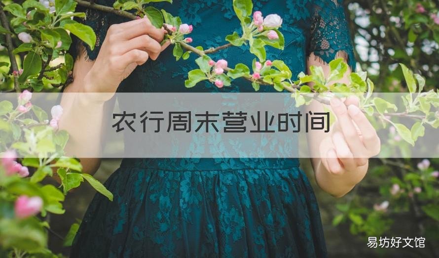 农行周末营业时间 农行周末营业时间查询