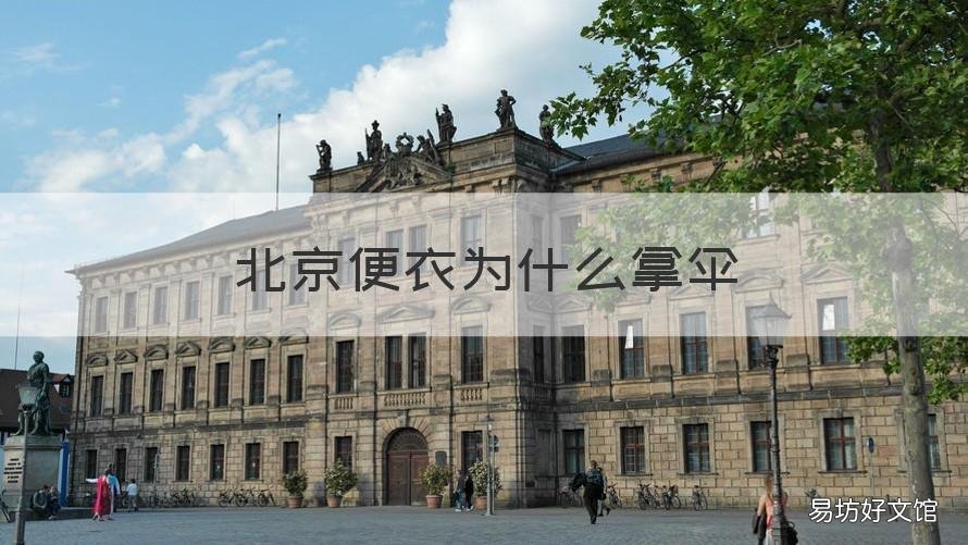 北京便衣为什么拿伞 北京便衣武警拿黑伞