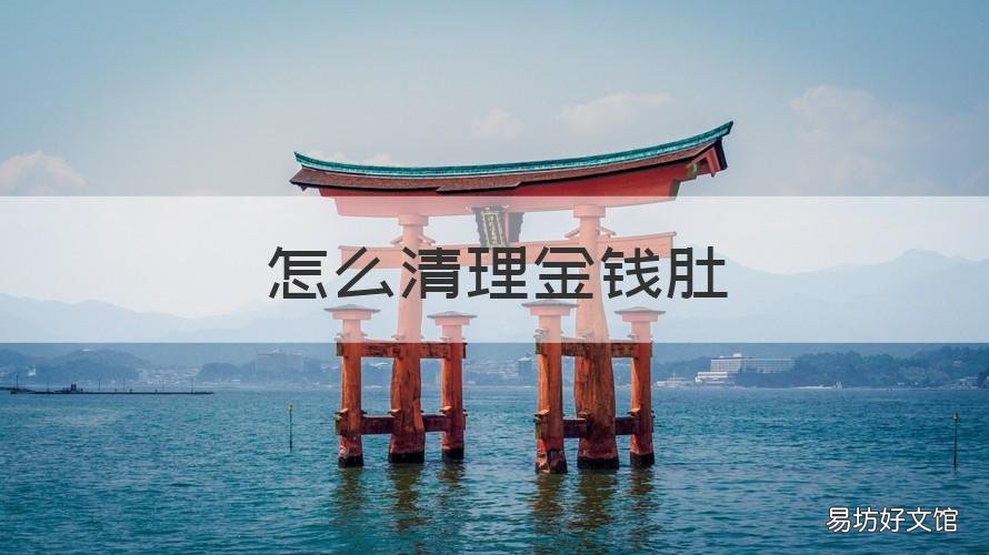 怎么清理金钱肚 金钱肚怎么处理干净