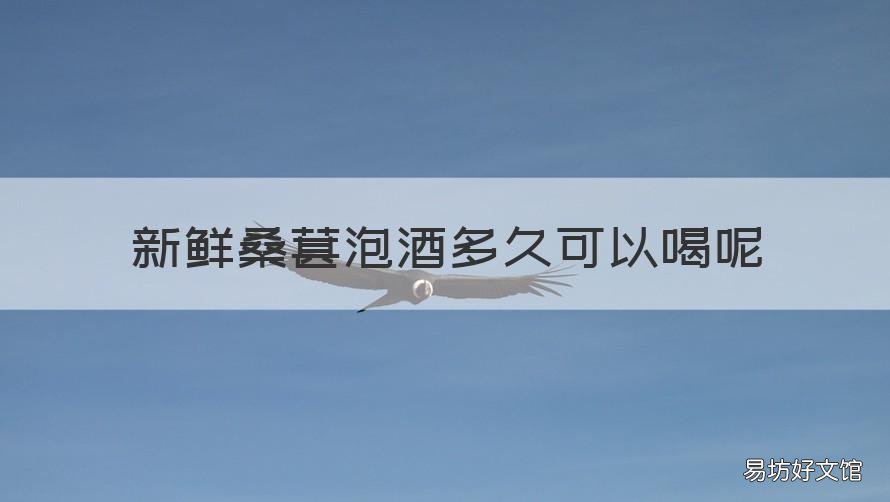 新鲜桑葚泡酒多久可以喝呢 新鲜桑葚怎么泡酒多长时间可以喝