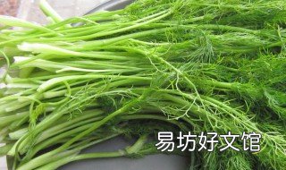 茴香菜怎么做好吃
