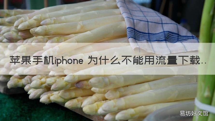 苹果手机iphone 为什么不能用流量下载 苹果手机iphone 为什么不能用流量