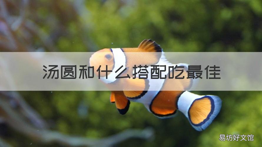 汤圆和什么搭配吃最佳 汤圆配什么吃好