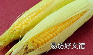 老谭玉米制作过程 老坛玉米制作过程