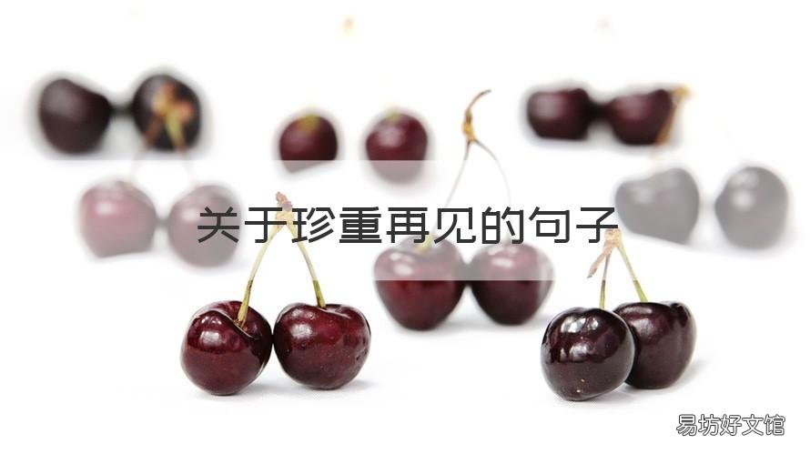 关于珍重再见的句子 关于珍重再见的句子唯美