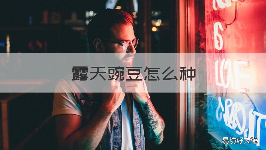 露天豌豆怎么种 露天种植豌豆苗在什么时候合适