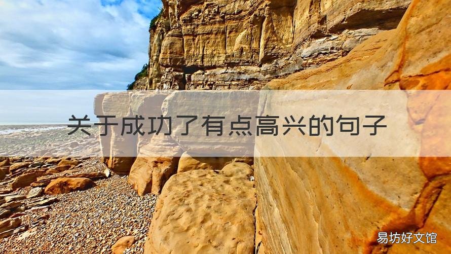 关于成功了有点高兴的句子 让自己高兴起来的句子