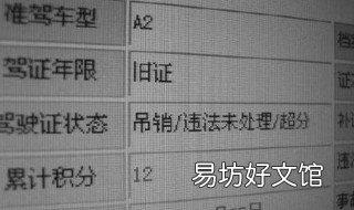 驾驶证吊销查询网站 驾驶证吊销情况查询