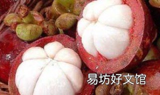 山竹孕妇能吃吗 山竹孕妇能吃吗中期