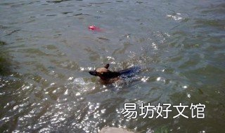 梦见在河里洗澡水深什么意思 梦见在河边洗澡水深