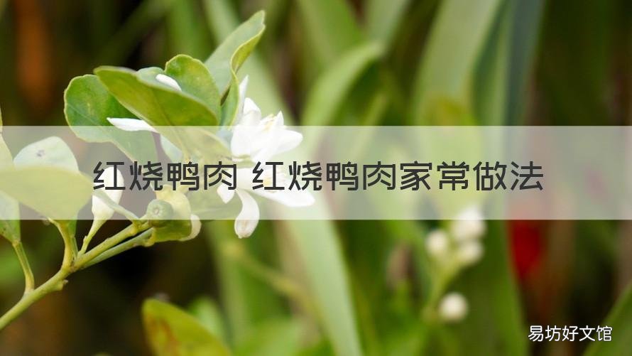 红烧鸭肉 红烧鸭肉家常做法 红烧鸭肉怎样做