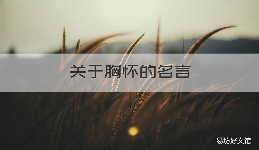 关于胸怀的名言 关于胸怀天下的名言