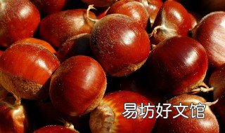 板粟如何保存 板粟如何保存到冬天
