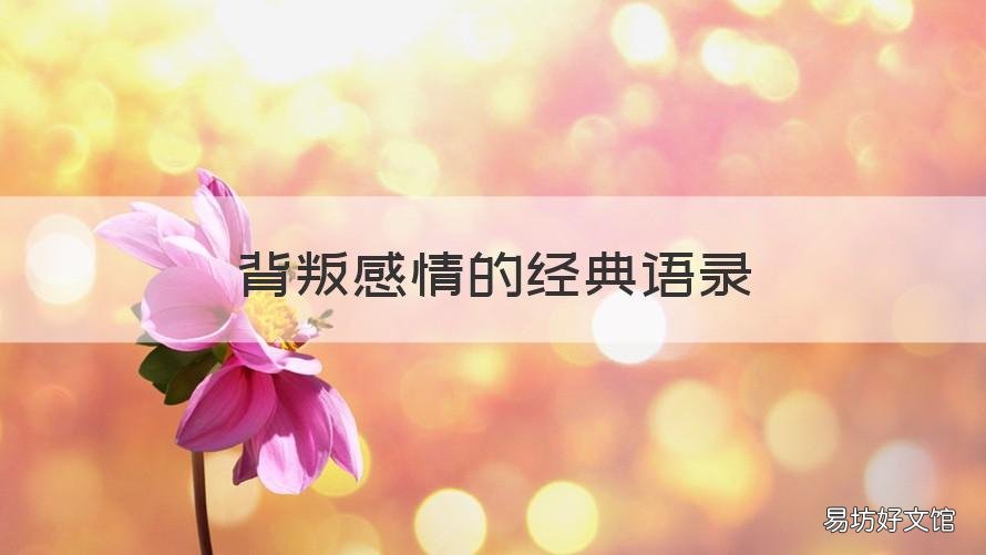 背叛感情的经典语录 背叛语录短句心酸