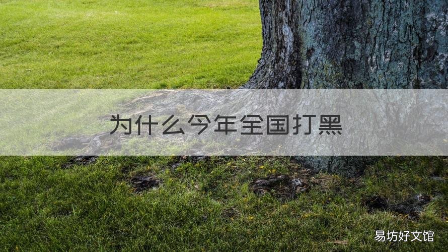 为什么今年全国打黑 全国打黑哪年开始