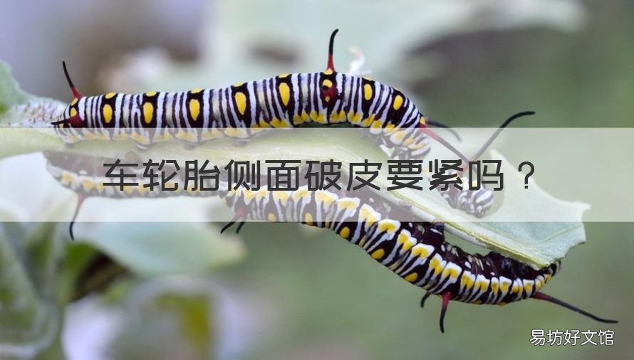 车轮胎侧面破皮要紧吗 轮胎侧面外皮破了有影响吗