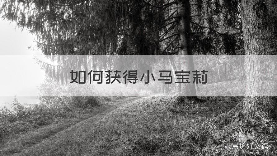 如何获得小马宝莉 小马宝莉里所有的小马