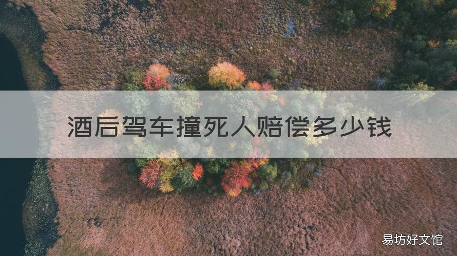 酒后驾车撞死人赔偿多少钱 酒驾撞死人赔偿多少钱?