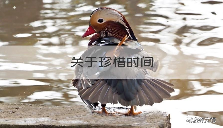 关于珍惜时间 关于珍惜时间的事实论据