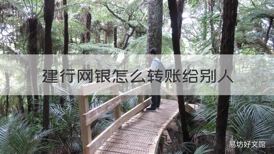 建行网银怎么转账给别人 建行如何转账给自己