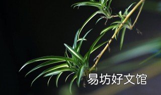 适合秋冬养的花 适合秋冬养的花卉