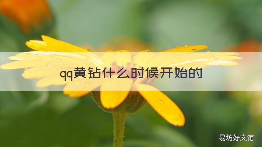 qq黄钻什么时候开始的 qq黄钻哪里看到期时间