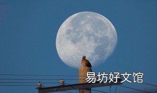 如何拍月亮效果最好 如何拍月亮拍的好看