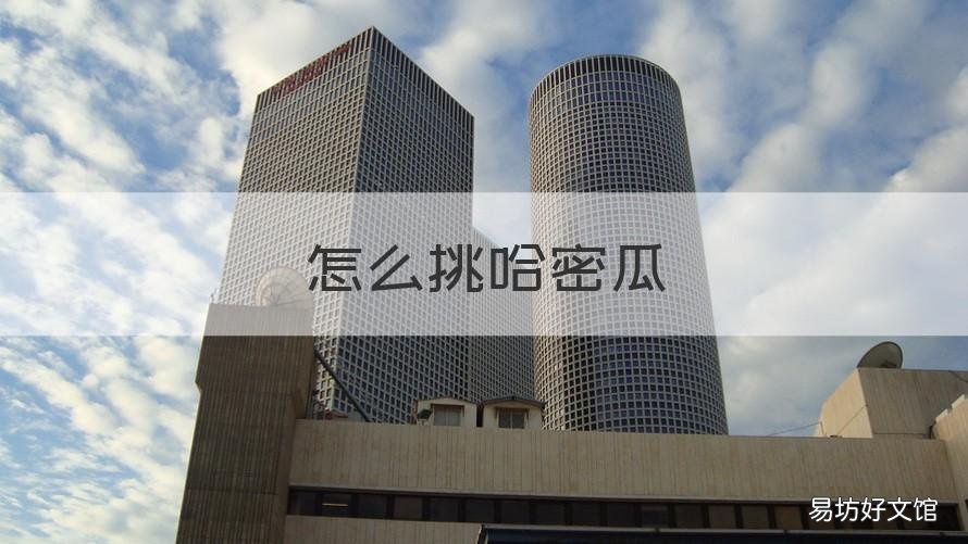 怎么挑哈密瓜 怎么挑哈密瓜又甜又甜