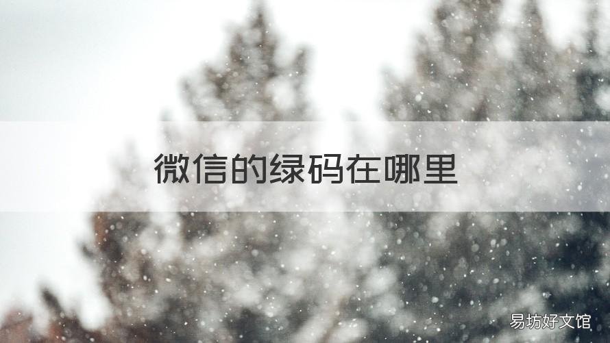 微信的绿码在哪里 微信绿码在哪里扫